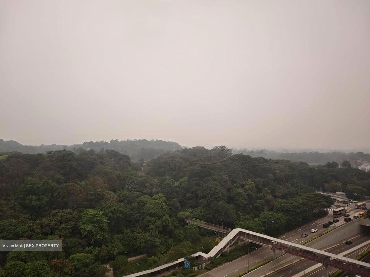 Bukit Timah Shopping Centre (D21), Office #632379561